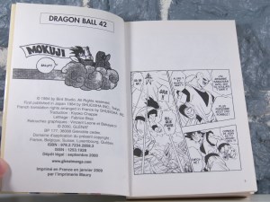 Dragon Ball 42 La Victoire (06)
